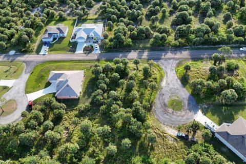 Land in Palm Bay, Florida № 1791708 - photo 6