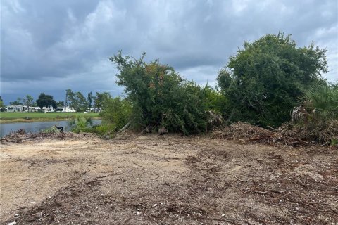Land in Port Charlotte, Florida № 1636413 - photo 4
