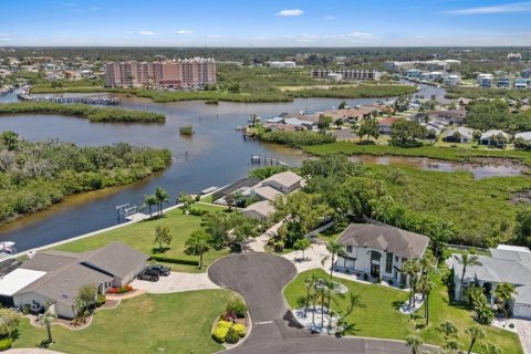 Villa ou maison à vendre à New Port Richey, Floride: 5 chambres, 388.7 m2 № 2121322 - photo 3