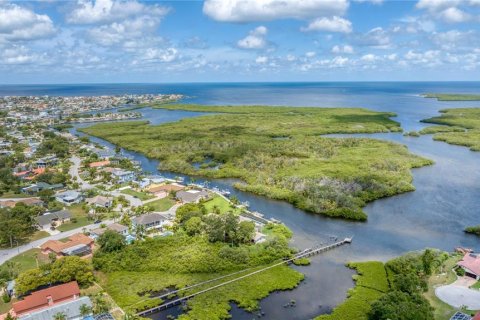Villa ou maison à vendre à New Port Richey, Floride: 5 chambres, 388.7 m2 № 2121322 - photo 4