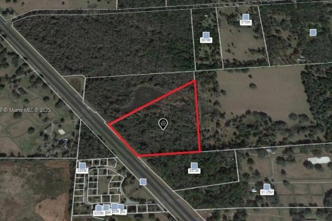 Propiedad comercial en venta en Ocala, Florida № 2019127 - foto 2