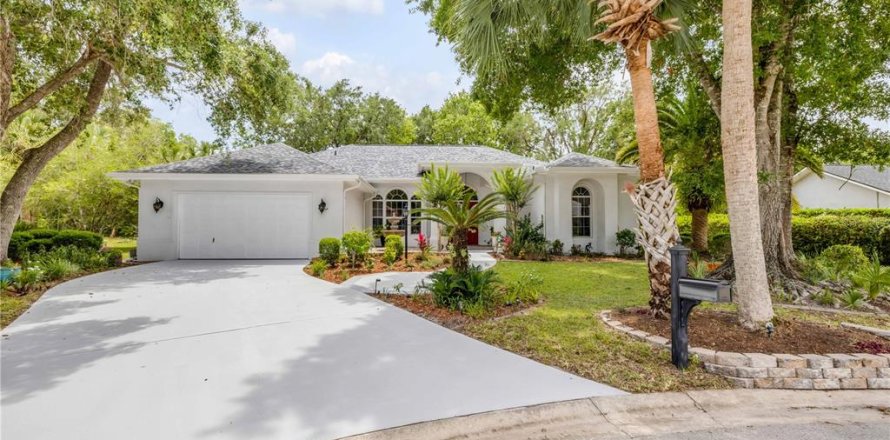 House in Palm Coast, Florida 4 bedrooms, 256.41 sq.m. № 1757585
