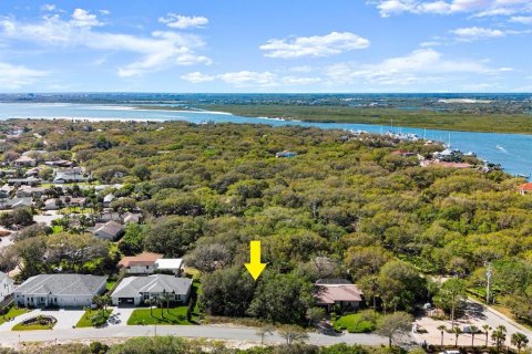 Terreno en venta en Ponce Inlet, Florida № 1590475 - foto 6