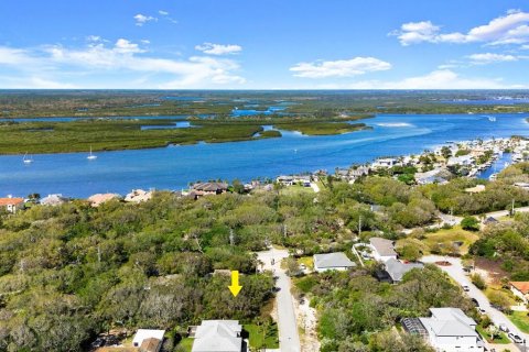 Terreno en venta en Ponce Inlet, Florida № 1590475 - foto 11