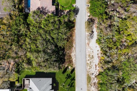 Terreno en venta en Ponce Inlet, Florida № 1590475 - foto 3