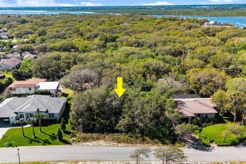 Terreno en venta en Ponce Inlet, Florida № 1590475 - foto 1