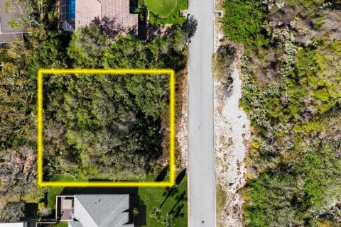 Terreno en venta en Ponce Inlet, Florida № 1590475 - foto 2