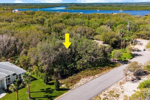 Terreno en venta en Ponce Inlet, Florida № 1590475 - foto 4