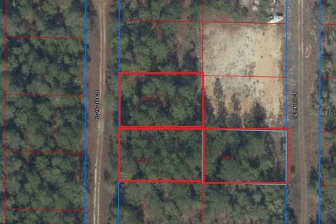 Terrain à Williston, Floride № 2205639