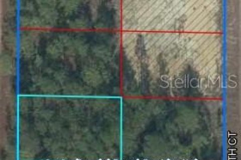 Terreno en venta en Williston, Florida № 2205639 - foto 2