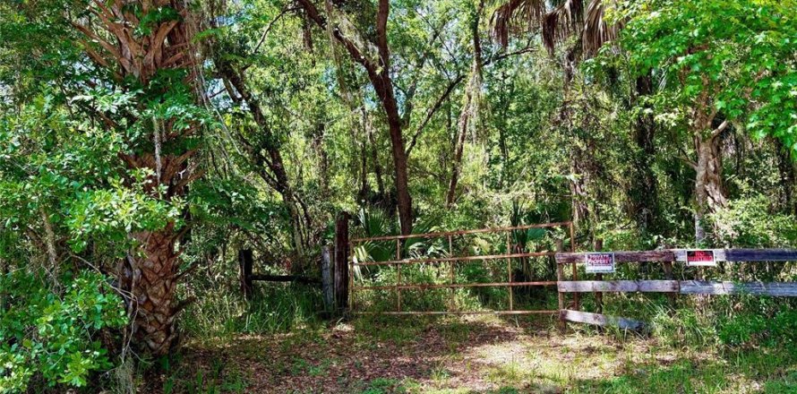 Terrain à Brooksville, Floride № 2214431