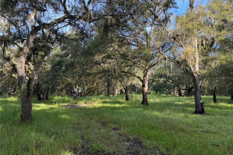 Land in Arcadia, Florida № 2345150