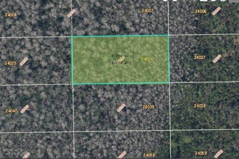 Land in Orlando, Florida № 2163617