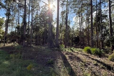 Land in Georgetown, Florida № 2165881