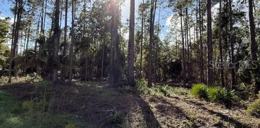 Land in Georgetown, Florida № 2165881