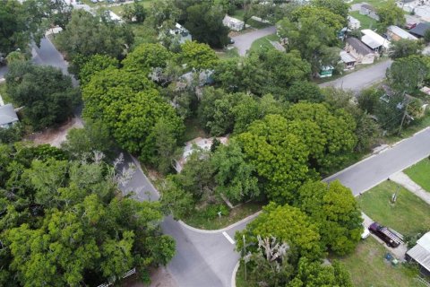 Купить коммерческую недвижимость в Деланд, Флорида 84.73м2, № 1856223 - фото 4