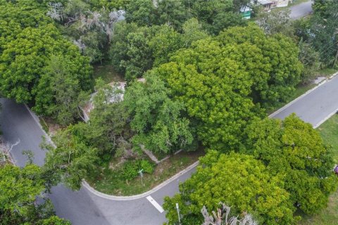 Купить коммерческую недвижимость в Деланд, Флорида 84.73м2, № 1856223 - фото 1