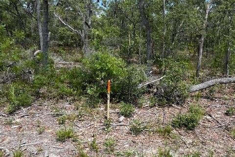 Land in Interlachen, Florida № 2165931