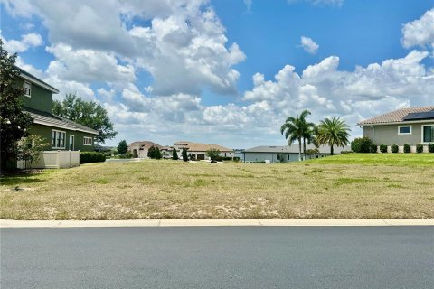 Terrain à Auburndale, Floride № 2298663