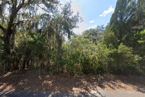 Land in Babson Park, Florida № 2158941 - photo 2
