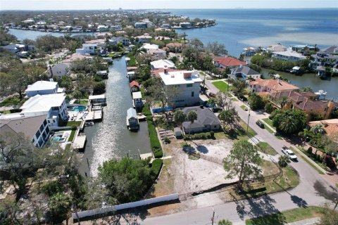 Land in Tampa, Florida № 1533009 - photo 4