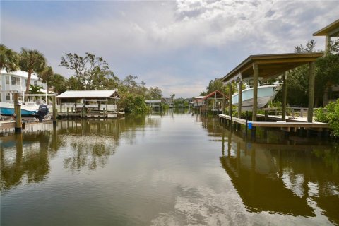 Land in Tampa, Florida № 1533009 - photo 29