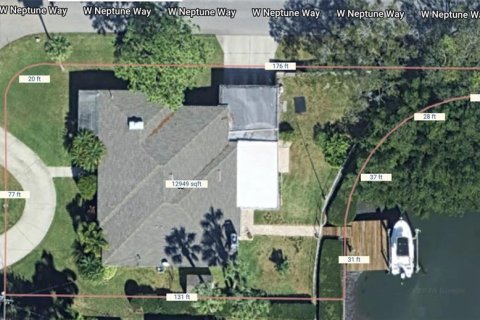 Land in Tampa, Florida № 1533009 - photo 7
