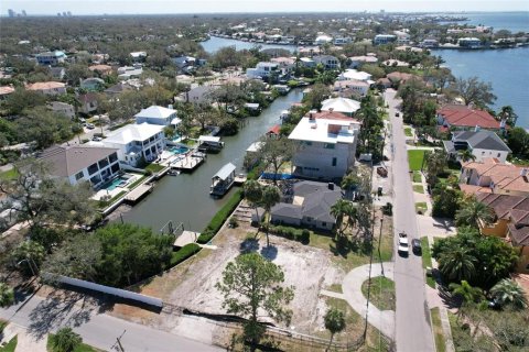 Land in Tampa, Florida № 1533009 - photo 2