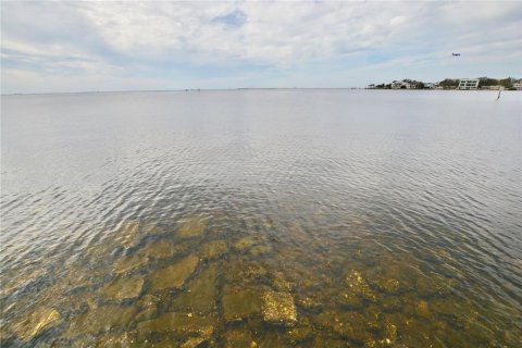 Land in Tampa, Florida № 1533009 - photo 25