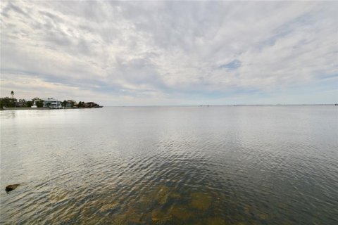 Land in Tampa, Florida № 1533009 - photo 23