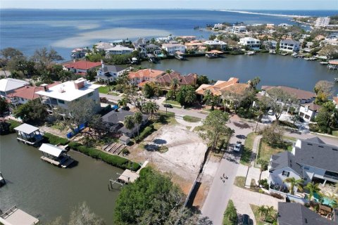 Land in Tampa, Florida № 1533009 - photo 6