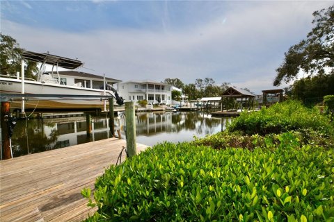 Land in Tampa, Florida № 1533009 - photo 22