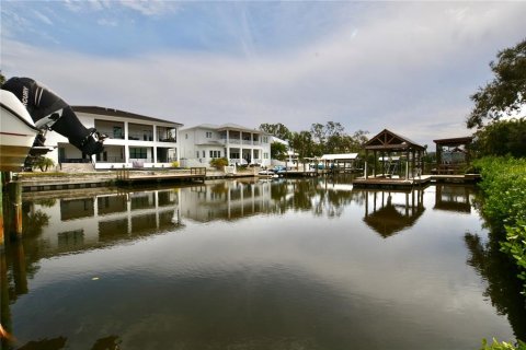 Land in Tampa, Florida № 1533009 - photo 13