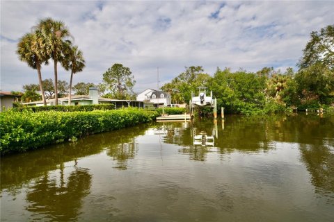 Land in Tampa, Florida № 1533009 - photo 17