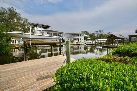 Land in Tampa, Florida № 1533009 - photo 11