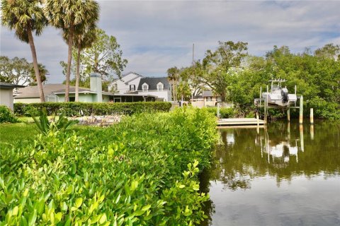 Land in Tampa, Florida № 1533009 - photo 15