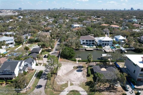 Land in Tampa, Florida № 1533009 - photo 1
