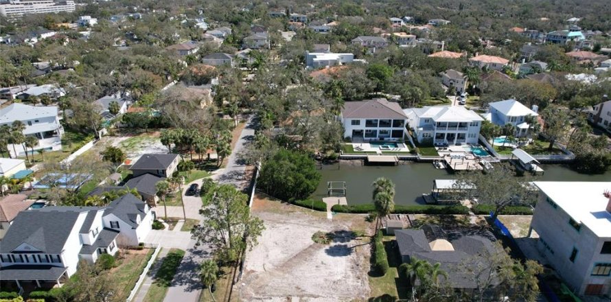 Land in Tampa, Florida № 1533009