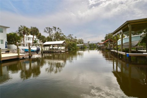 Land in Tampa, Florida № 1533009 - photo 30