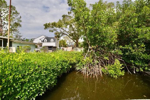Land in Tampa, Florida № 1533009 - photo 24