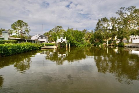 Land in Tampa, Florida № 1533009 - photo 27