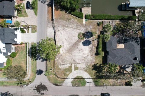 Land in Tampa, Florida № 1533009 - photo 3