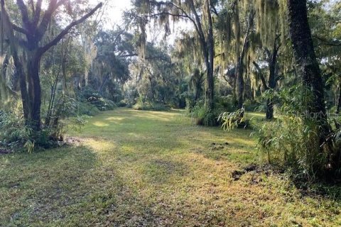 Terrain à vendre à Oak Hill, Floride № 1163329 - photo 5