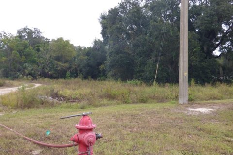 Land in Fruitland Park, Florida № 627623 - photo 15