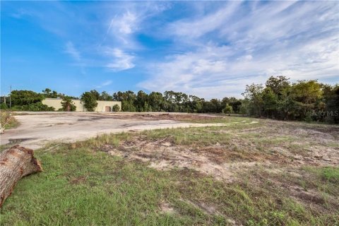 Land in Fruitland Park, Florida № 627623 - photo 10