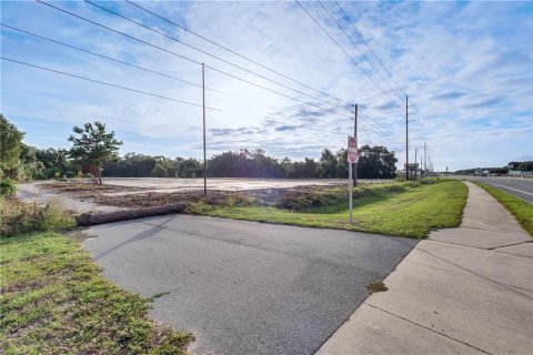 Land in Fruitland Park, Florida № 627623 - photo 9
