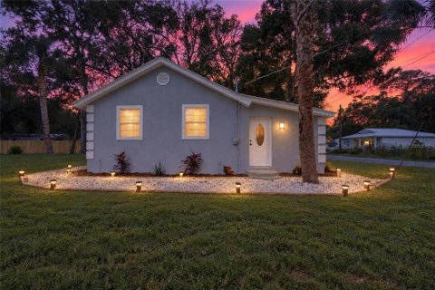 Villa ou maison à vendre à Saint Augustine, Floride: 3 chambres, 67.63 m2 № 2411574 - photo 2