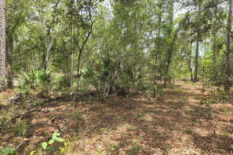 Land in Dunnellon, Florida № 2233850 - photo 6