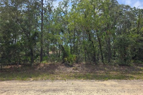 Land in Dunnellon, Florida № 2233850 - photo 9