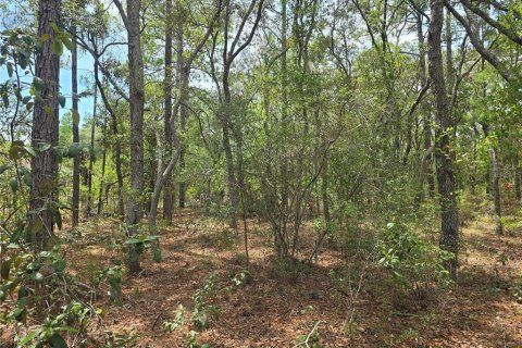 Land in Dunnellon, Florida № 2233850 - photo 8